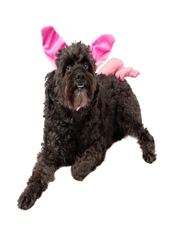 Midlee Dog Pig Halloween Headband Costume with Tail- Large - Image 4