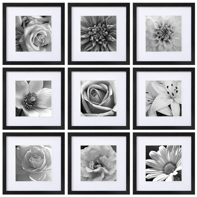 12X12 PICTURE FRAMES SET OF 9 CLASSIC GALLERY WALL FRAME SET DISPLAYS 8X8 PHOTO WITH MAT OR 12X12 WITHOUT MAT SQUARE COLLAGE WALL DECOR BLACK HOME DECOR FOR HANGING