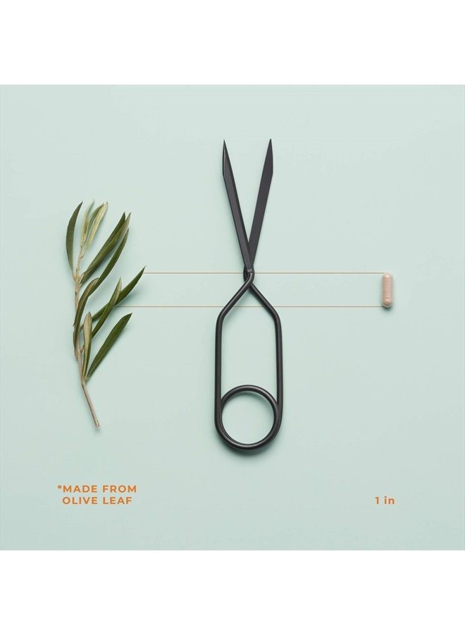 Life Seasons Immuni-T - Immune System Booster Supplement - Cold and Flu Season Support - Rapid Immune Response - Andrographis and Echinacea - 90 Capsules - Image 3