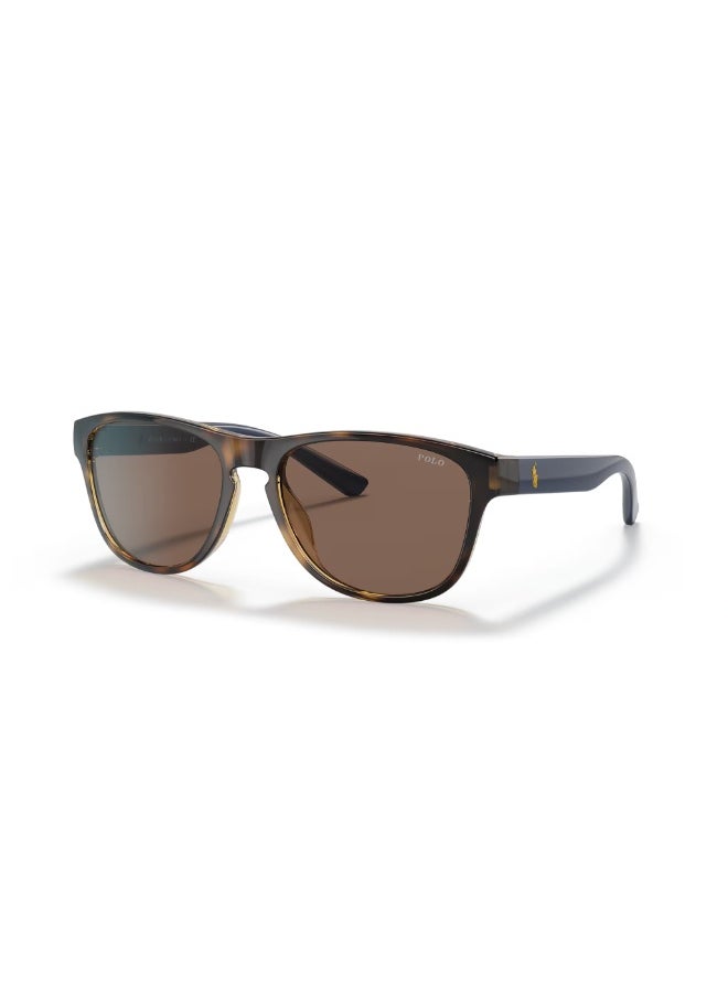 POLO RALPH LAUREN Full Rim Sunglasses 0PH4180U  - Image 3
