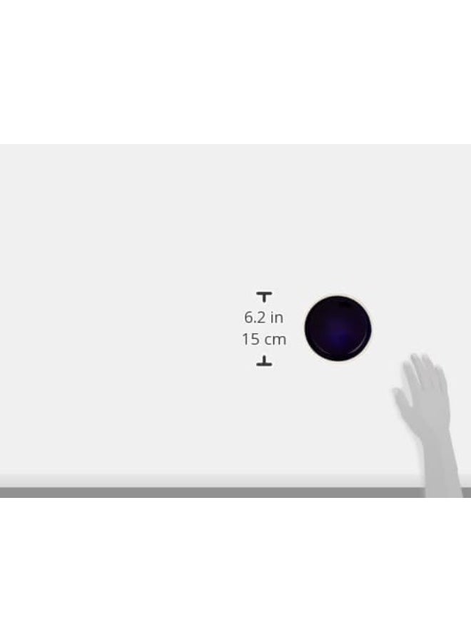 Trixie Basic Ceramic Bowl for Cats & Small Pets - Cream/Blue - Image 4