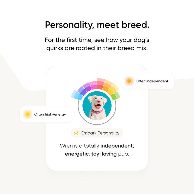 Embark Breed Identification Kit - Most Accurate Dog DNA Testing Kit - 99% Breed Ancestry Accuracy for Mixed Breed Dogs - Plus Relative Finder & Family Tree - Image 5