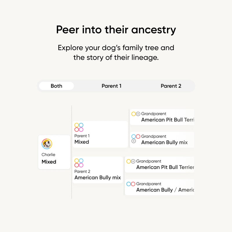 Embark Breed Identification Kit - Most Accurate Dog DNA Testing Kit - 99% Breed Ancestry Accuracy for Mixed Breed Dogs - Plus Relative Finder & Family Tree - Image 4