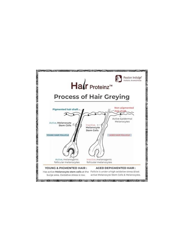 Passion Indulge Hair Proteinz Serum with Anti Greying Arcolys, Black Tea & Amla | Restore Natural Color-50 ML |PACK OF 2 - Image 5