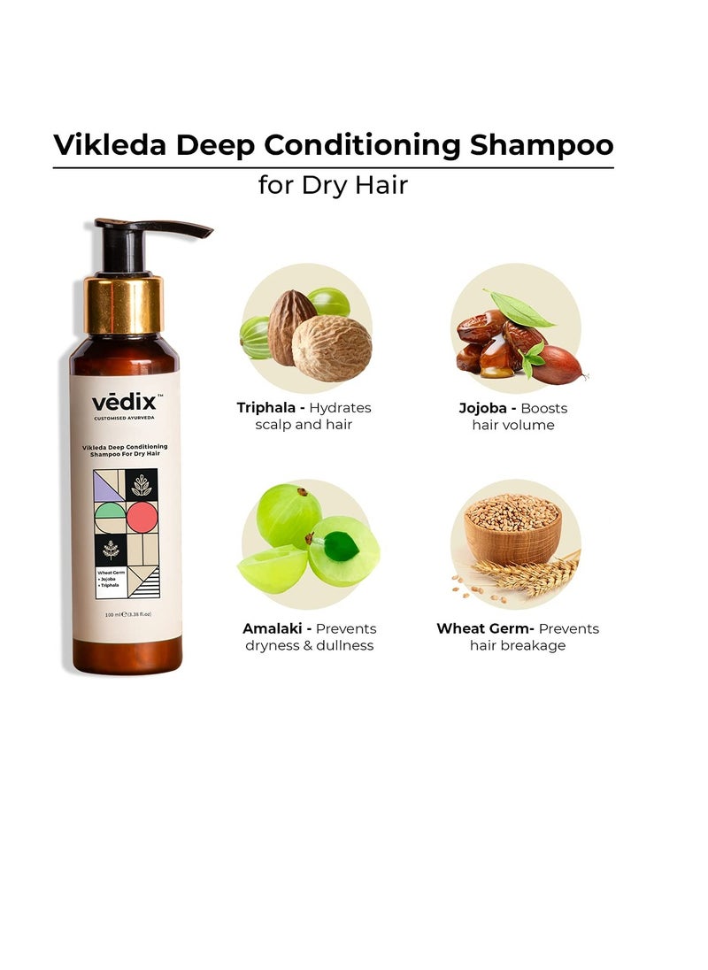 Vedix - Vedix Customized Hair Fall Control&Dandruff Care Regimen For Dry Hair- Anti Hair Fall Oil Fenugreek Sesamum  Anti Hairfall Shampoo For Dry Hair  Nuyantra Pro Hair Growth Serum Care 540 Grams - Image 1