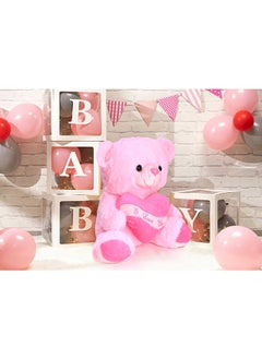 38cm Pink Teddy Bear Toy with Holding Heart Shape for Girls Friend and Couples Anniversary Valentine and Birthday Gift - pzsku/ZF1B2A7E4BB07F701A9AEZ/45/_/1738665450/4ea44a32-f42c-476d-a9d5-c610b6a8184a