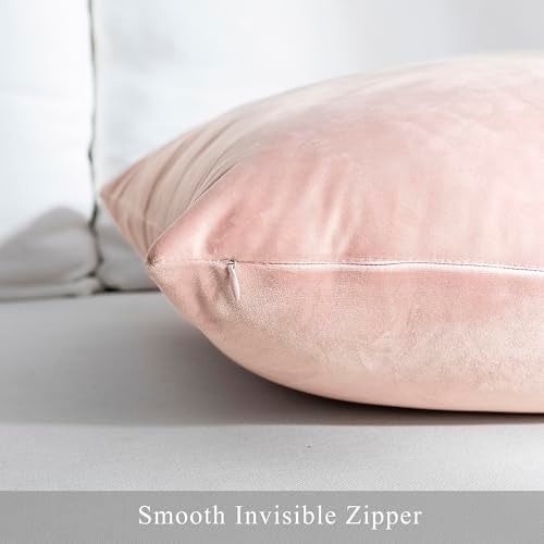 Stellhome Pack of 2 Super Soft Throw Pillow Covers Rectangle Solid Velvet Pillowcase for Bed Couch Sofa Bench, 12 x 20 inch (30 x 50 cm), Pink - Image 3