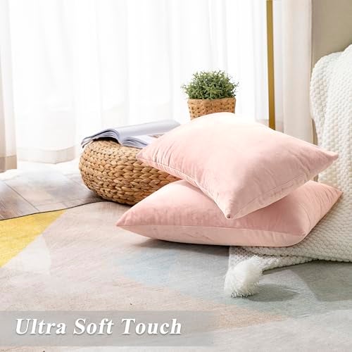 Stellhome Pack of 2 Super Soft Throw Pillow Covers Rectangle Solid Velvet Pillowcase for Bed Couch Sofa Bench, 12 x 20 inch (30 x 50 cm), Pink - Image 2