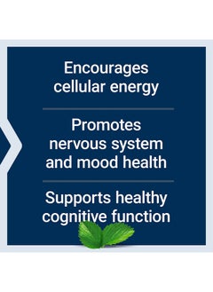 لايف إكستنشن Life Extension Acetyl-L-Carnitine, Acetyl-L-Carnitine, فيتامين سي, صحة الدماغ والمزاج والأعصاب, طاقة الخلايا, إمداد لمدة 3 أشهر, خالي من الجلوتين, غير معدّل وراثيًا, نباتي, 100 كبسولة  - Image 4