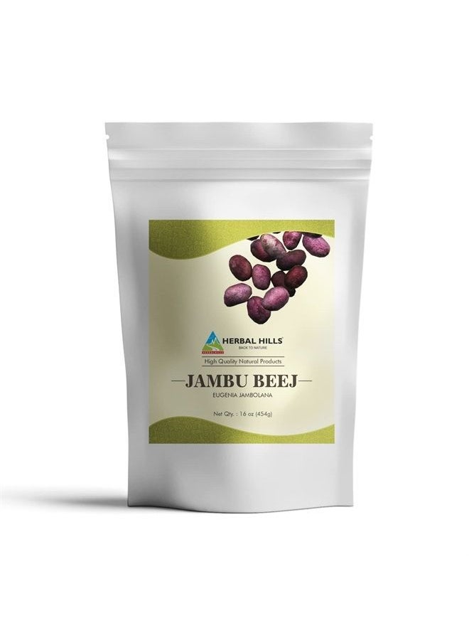 HERBAL HILLS Jambu/Jamun Powder Eugenia Jambolana | 16oz (454 GMS) | Herbal Supplements  - Image 1