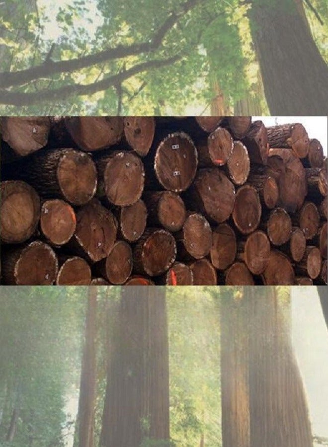 سماعات أذن من ألمنيوم الجوز - Image 5