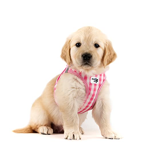 Curli Vest Harness curli Clasp AirMesh PinkCaro 2XS Leash M - Image 3