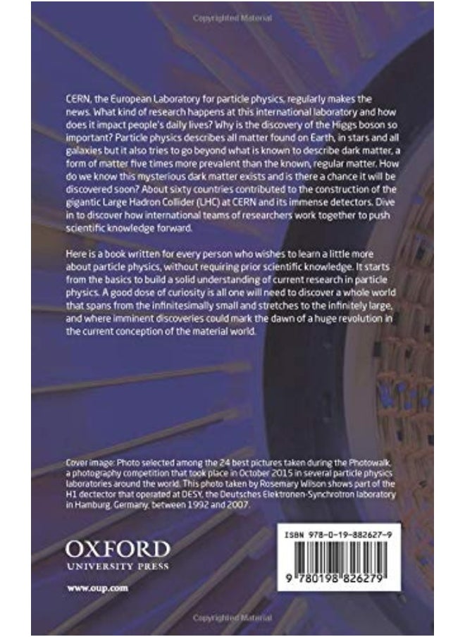 Who Cares about Particle Physics?: Making Sense of the Higgs Boson, the Large Hadron Collider and CERN  - Image 2