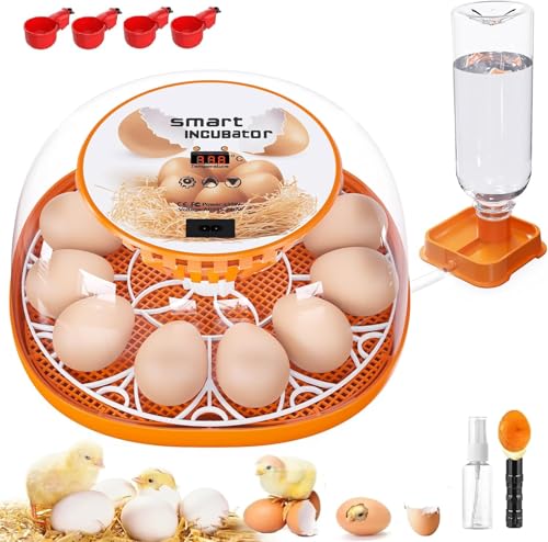 Viowey 12 Egg Incubator with Automatic Egg Turning and Temperature Control Automatic Water Adding LED Egg Candler Incubators for Hatching Eggs Chickens Ducks Quail - Image 1