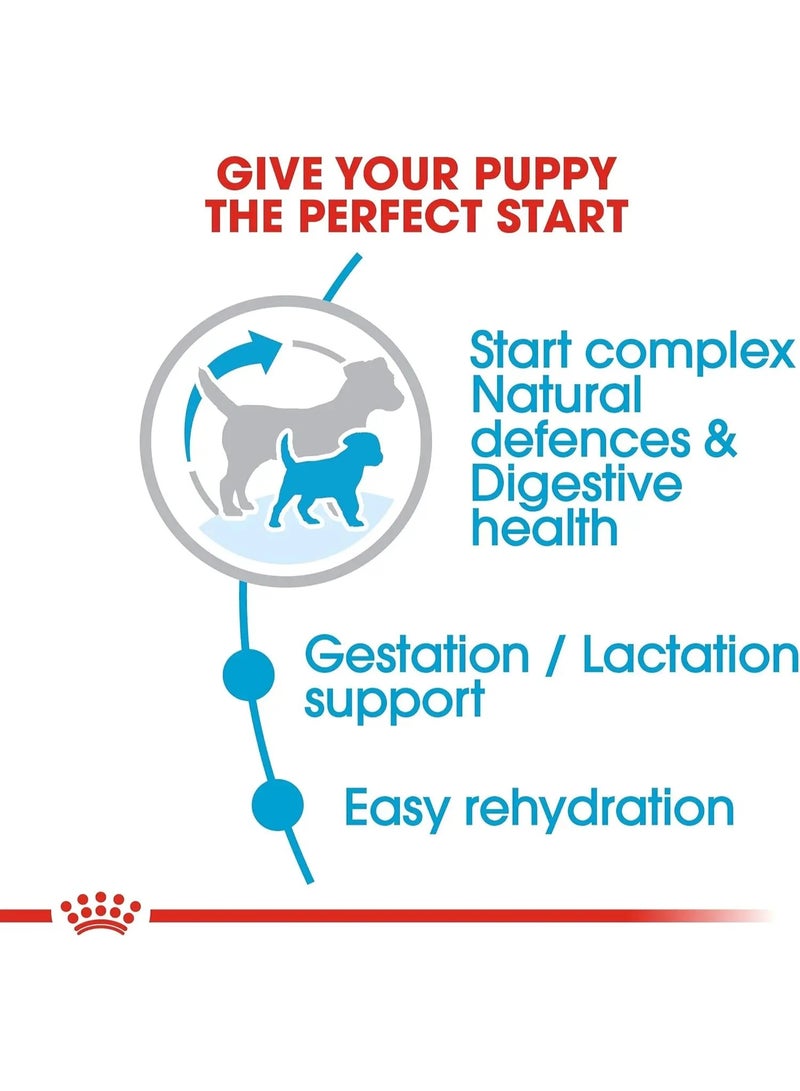 ROYAL CANIN طعام جاف رويال كانين ميني ستارتر للأم وجرو الكلاب 1 كجم - صحة الجراء من سلالة صغيرة - Image 2