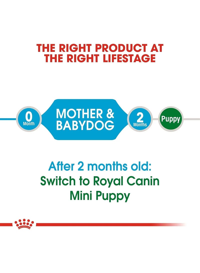 ROYAL CANIN طعام جاف رويال كانين ميني ستارتر للأم وجرو الكلاب 1 كجم - صحة الجراء من سلالة صغيرة - Image 3