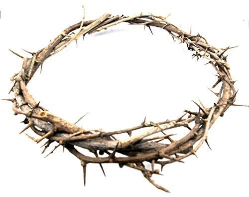 ZULUF 7.5" Crown of Thorns from Bethlehem Jerusalem – Authentic Holy Land Passion of Christ Gift Boxed Ornament HLG027 - Image 1