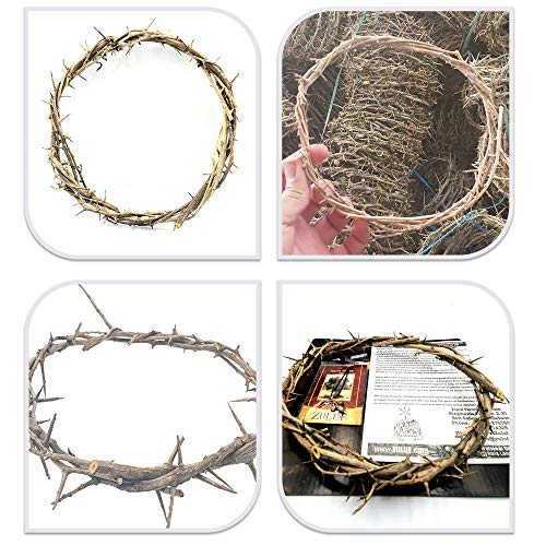 ZULUF 7.5" Crown of Thorns from Bethlehem Jerusalem – Authentic Holy Land Passion of Christ Gift Boxed Ornament HLG027 - Image 4