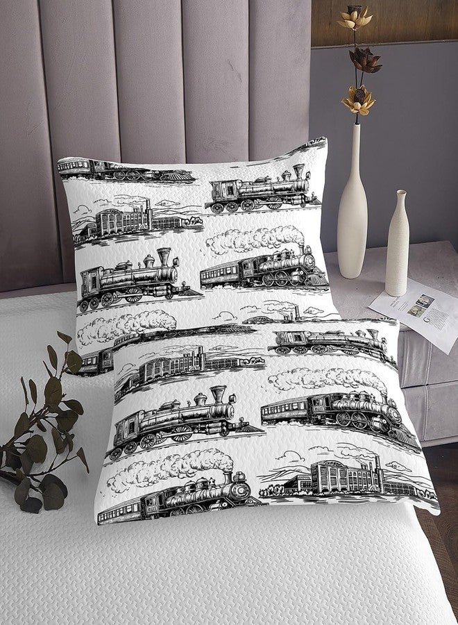 مان فاي غطاء سرير مانفي بتصميم قطار، مقاس كوين، غطاء سرير مبطن بتصميم قطار بخاري كلاسيكي مع 2 غطاء وسادة، طقم غطاء سرير بتصميم قطار كلاسيكي مكون من 3 قطع لتزيين غرف الأطفال والأولاد والبالغين، لحاف سرير من البوليستر الناعم - Image 4
