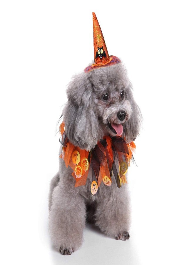 BWOGUE Cat Costume Halloween Pet Costumes Pumpkin Collar with Skull Hat Pet Apparel for Small Dogs and Cats - Image 5