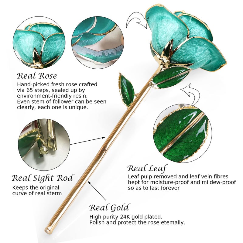 Sinvitron Gold Dipped Rose 24K Real Rose  Long Stem 24k Gold Plated Rose with Stand  Birthday Gift for Women Gifts for Mom  Dipped Gold Rose for Anniversary  Mothers and Valentines Day (Light Blue) - Image 2