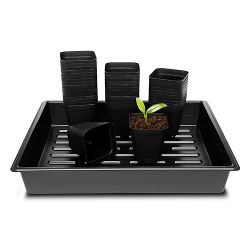 RooTrimmer 315 inch 8CM Square Nursery Pots 100 pcs Sturdy Seedlings Trays 5 Pcs Seeds Starter Germination Tray Microgreening Planter Nursery Propagation 5 Sets - Image 1