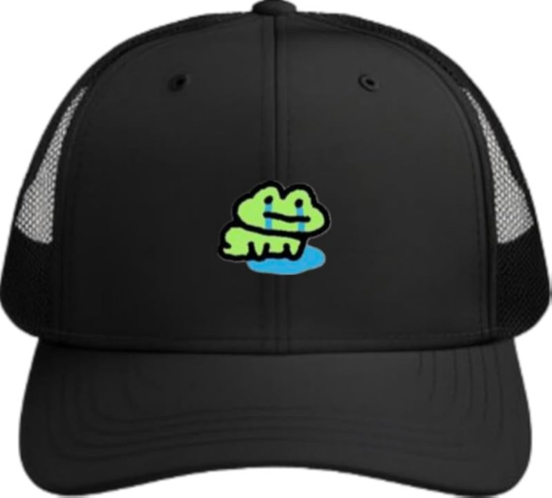 Frog Plain unisex baseball cap Black 27