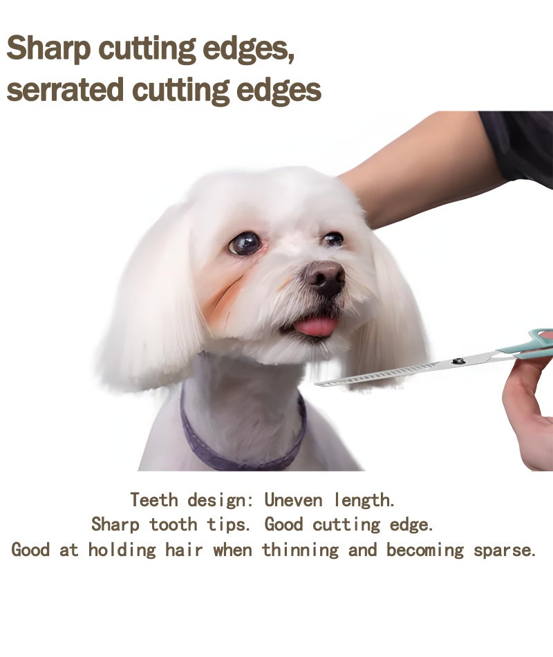 VayuSrot 5-Piece Dog Grooming Kit, Pet Grooming Kit with Dog Grooming Scissors, Hair Cutting Scissors for Long and Short Hair, Dog Trimmer Perfect for Home Pet Grooming and Styling - Image 5