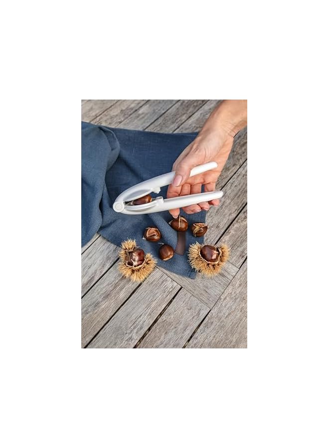 S-TOP Tongs for Sweet Chestnuts Presto, Multi-Colour, 21.5x8.5x5.4 cm - Image 3