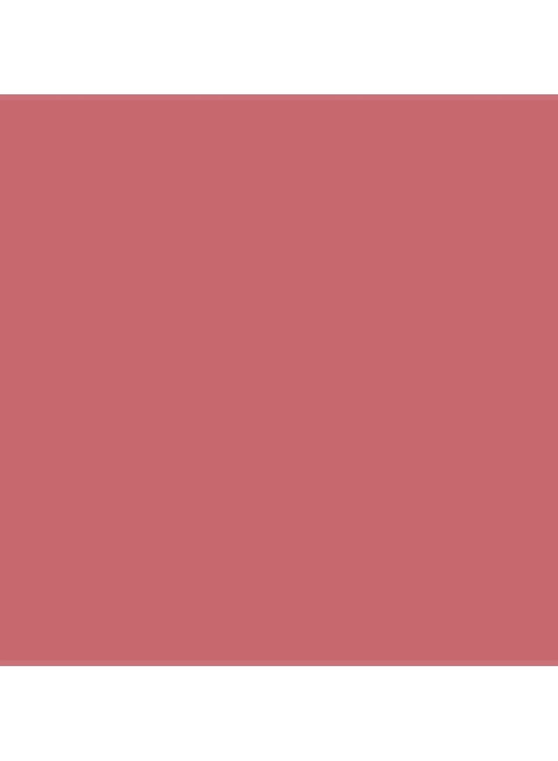 evagarden Pleasure Lipstick | #665 Ginger Rose - Image 2
