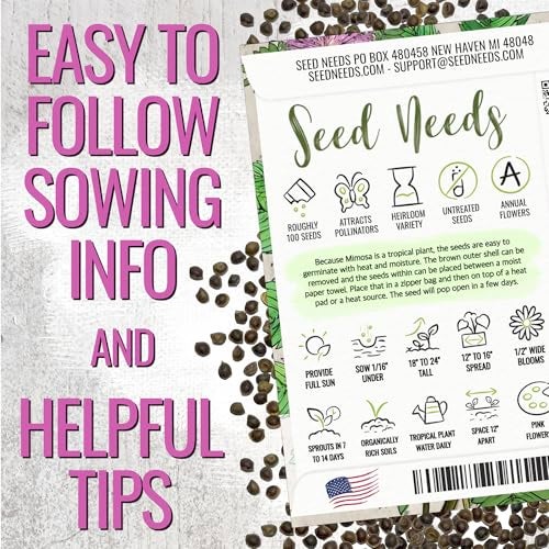 Seed Needs Sensitive Plant Seeds for Planting Mimosa pudica - Heirloom & Open Pollinated Annual Flowers - Pink Blooms with Leaves that React to Touch (2 Packs) - Image 3