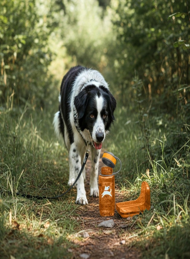OllyDog OllyBottle, Dog Water Bottle, Pet Water Dispenser with Detachable Bowl, Pet Accessories for Outdoor Walking, Hiking, Travel (600ml, Flame) - Image 2