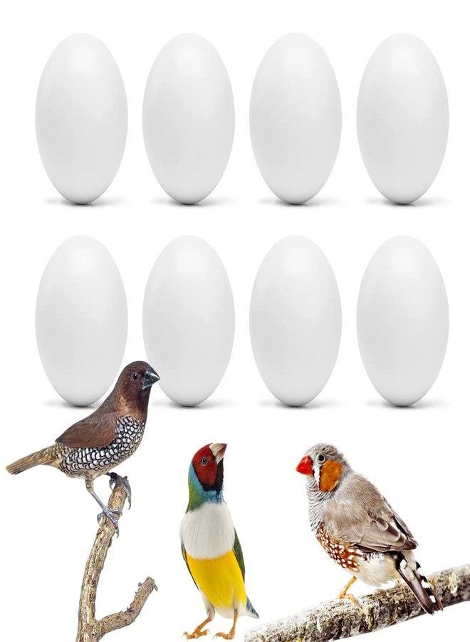 WOLEDOE 8Pcs Fake Bird Eggs, Stop Egg Laying fit Finch, Zebra, Gouldian, Artificial Eggs 12mm*17mm - Image 1