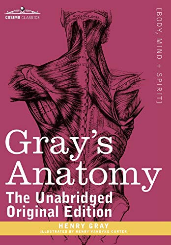 Grays Anatomy Descriptive And Surgical