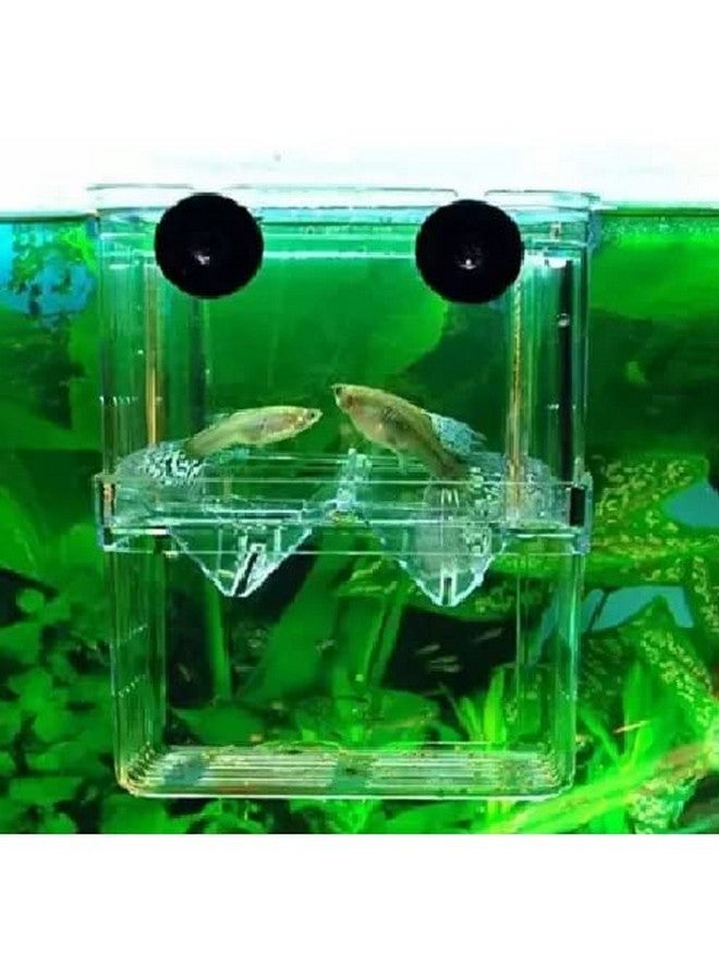 SANSEFERO® Breeding Box Isolation Box Fish Tank Aquarium Breeder Box Double Guppies Incubator Aquarium Rectangle Aquarium Tank (13.5cm x 7.5 cm x 10.5 cm) - Image 2