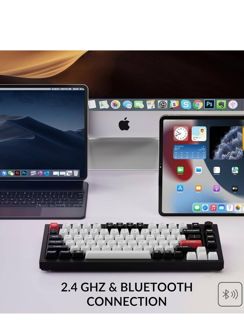 Keychron - Keychron Q1 HE QMK Wireless Mechanical Keyboard, Gateron Double-Rail Magnetic Nebula Switches, Fully Assembled Knob, OSA PBT Keycaps, Tri-Mode Connectivity, ENG-ARAB Layout, Q1H-M1-AR - Image 1
