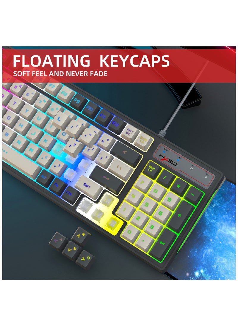 V600 Gaming Keyboard RGB Backlit Two Color Injection Molding Keycap Gray And Black Color Matching Wired Keyboard