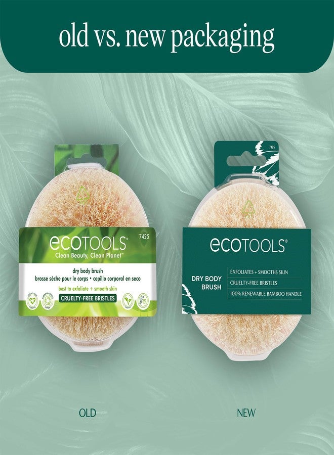 EcoTools Dry Body Brush 4-Pack – Exfoliating Body Scrubber for Dead Skin Removal, Cellulite Massage, Circulation - Image 2