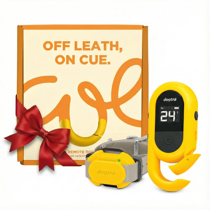 Dogtra CUE Yellow â€“ E-Collar for Dogs Training Collar with Remote â€“ Training Made Easy for Everyday Dog Owners â€“ Gentle Vibration, Custom Boost, Waterproof, Rechargeable, 400-Yard Range System - Image 1