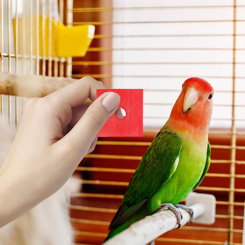 50pcs Parrot Chewing Toys Bird Bite Toys Parrot Teeth Grinding Toys - Image 5