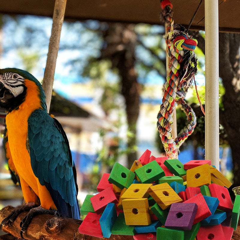 50pcs Parrot Chewing Toys Bird Bite Toys Parrot Teeth Grinding Toys - Image 2
