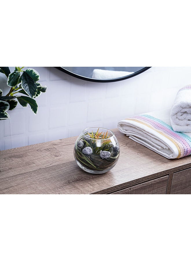 Pan Home AMRA GLASS SUCCULENT CLEAR D12X10CM - Image 1