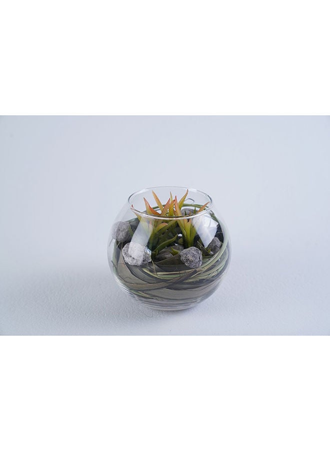 Pan Home AMRA GLASS SUCCULENT CLEAR D12X10CM - Image 2