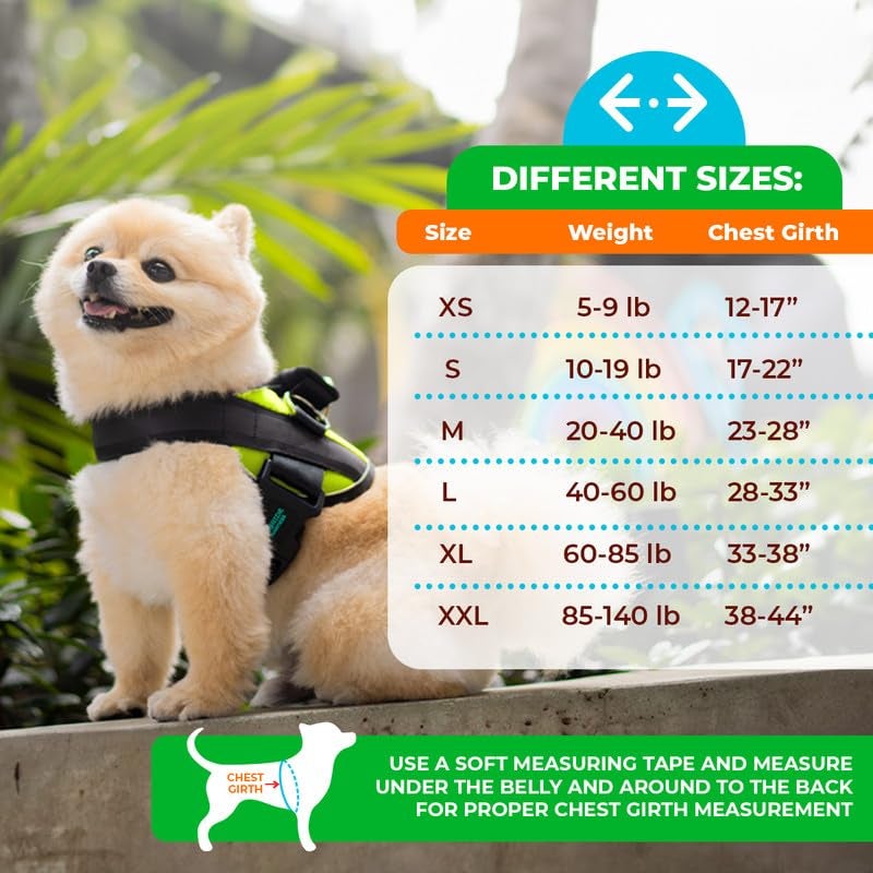 Joyride Harness 2.0 - The Original Side Ring No Pull Dog Harness - No Choke, Escape Proof, Reflective, 3 Leash Clips, Quick Fit Pet Vest - Easy Walks & Training - for Small, Medium & Large Dogs - Image 2