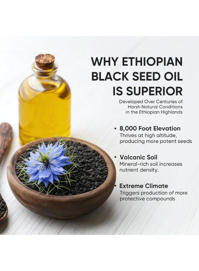 Purely Nutrient Ethiopian Black Seed Oil 100% Pure Softgels, High Thymoquinone, Natural Immune System Support, Digestive & Gut Health, Non-GMO Gluten-Free Dietary Supplement, 60 Capsules - Image 2