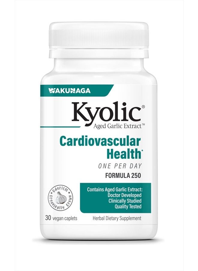 kyolic Aged Garlic Extract Formula 250, Cardiovascular Health, One Per Day, 30 Vegan Capsules (Packaging May Vary)  - Image 1