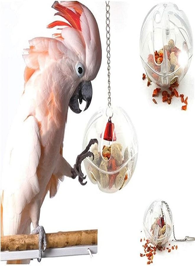 Parrot Creative Foraging System Foraging Ball Bird Toys - Image 2