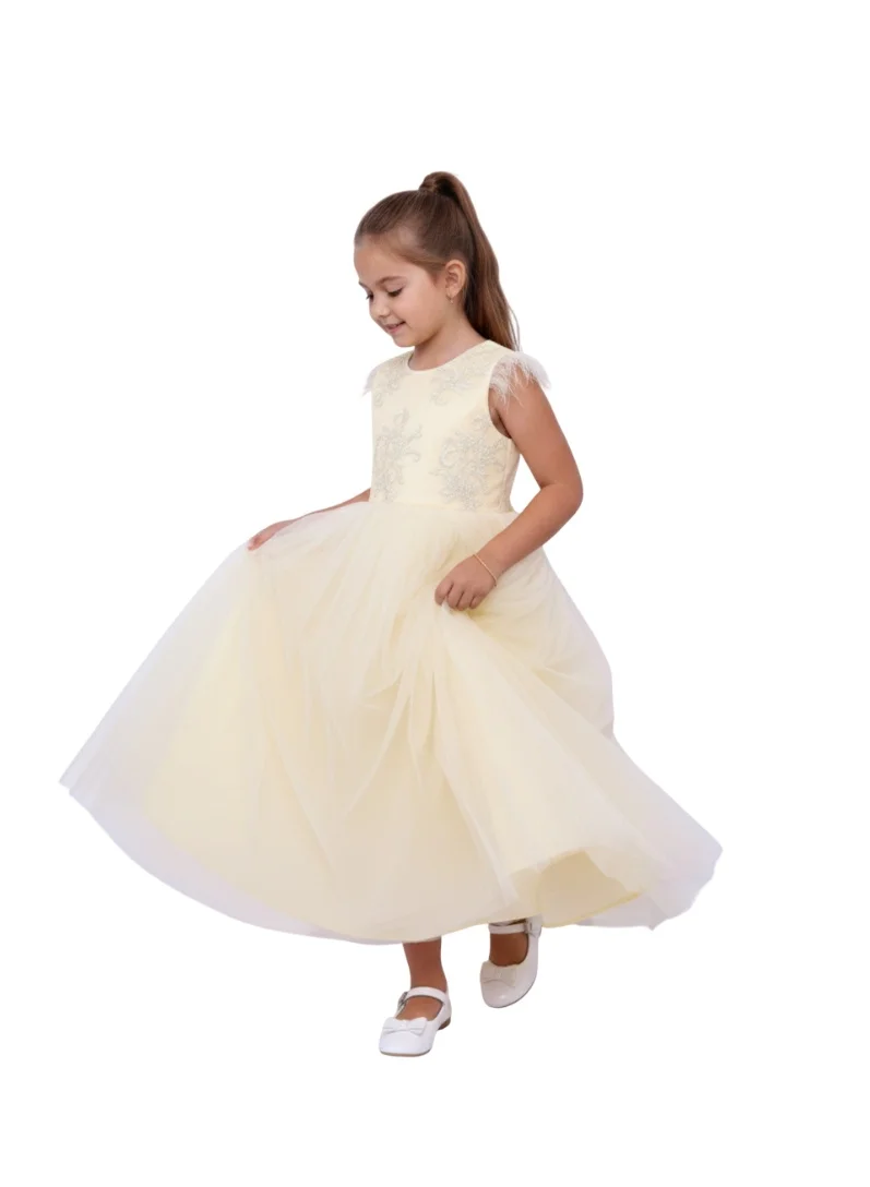 دىدانيالا فستان تول بريش