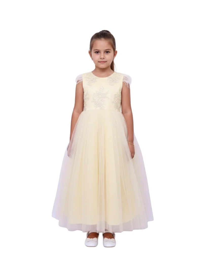 دىدانيالا فستان تول بريش