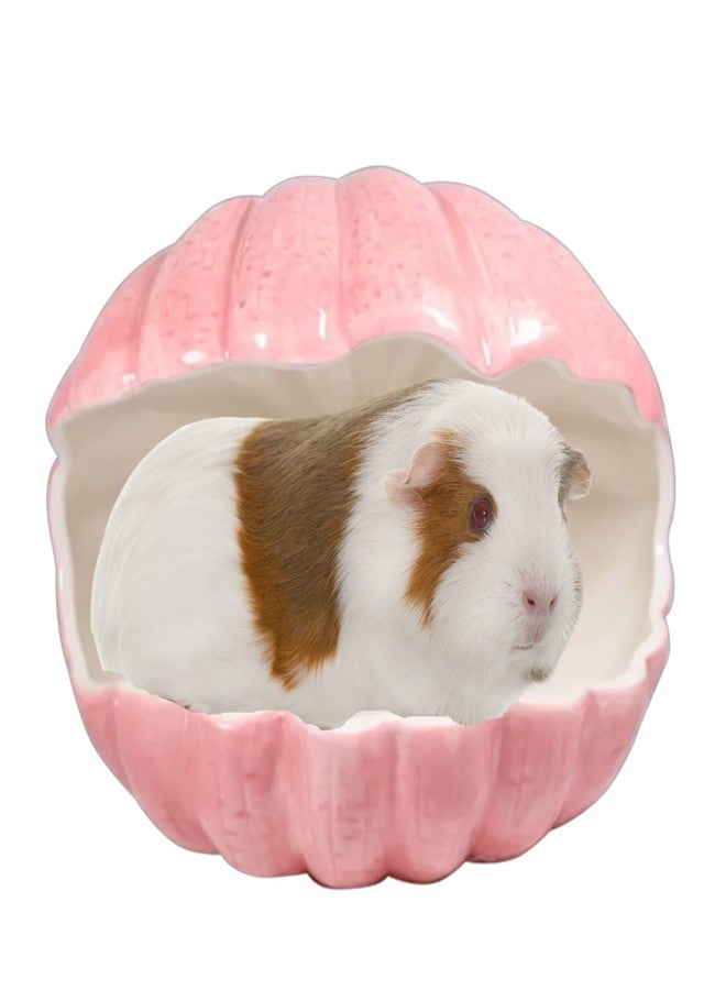 WCDJOMOP Small Animal Hideout Extra Large Ceramic Shell Shape Guinea Pig House Chinchilla Igloo Habitat Hut Cave Summer Bed Cage Accessories for Hedgehog Rabbit Hamster Gerbil Rat (XL (9.5''x7''x7.9''), Pink) - Image 1